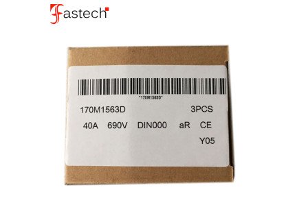 Semiconductor fuse 40A 690V 170M1563D Fuse link